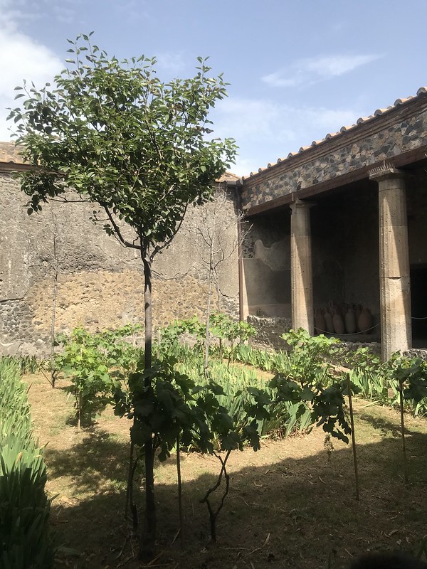 Vigneti a Pompei