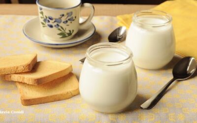 Come sostituire lo yogurt nei dolci: le alternative (anche Veg)