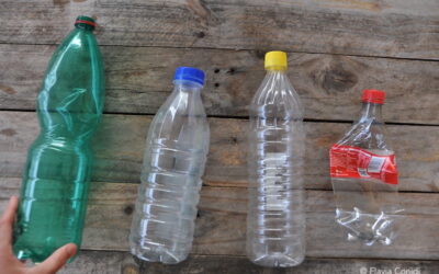 Riciclo di una bottiglia di plastica: tra raccolta differenziata e riciclo creativo